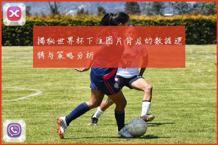 揭秘世界杯下注图片背后的数据逻辑与策略分析