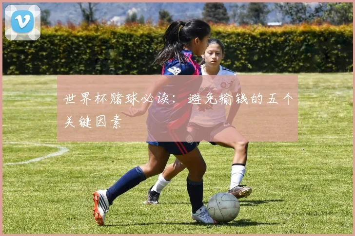 世界杯赌球必读:避免输钱的五个关键因素