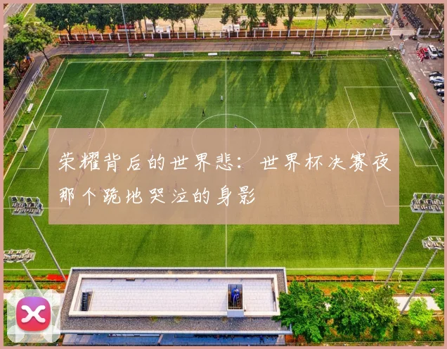 荣耀背后的世界悲：世界杯决赛夜那个跪地哭泣的身影