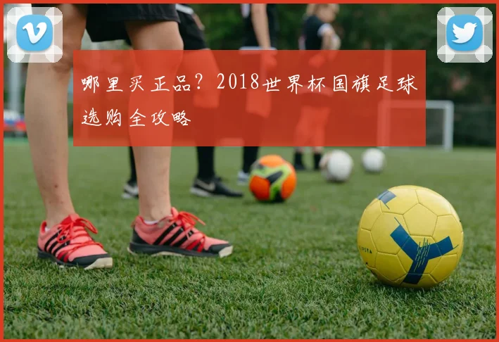 哪里买正品？2018世界杯国旗足球选购全攻略