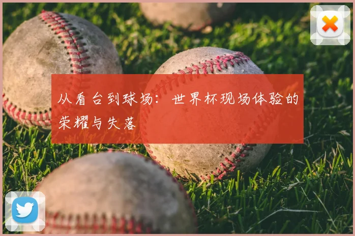 从看台到球场：世界杯现场体验的荣耀与失落