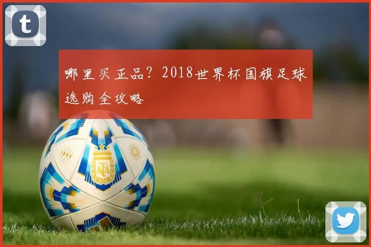 哪里买正品？2018世界杯国旗足球选购全攻略