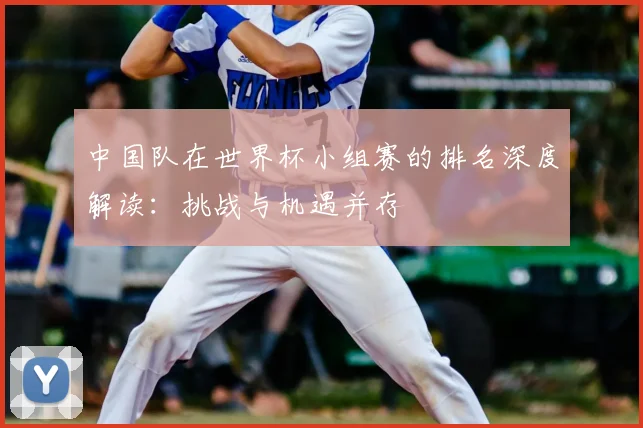 中国队在世界杯小组赛的排名深度解读:挑战与机遇并存