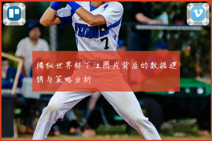 揭秘世界杯下注图片背后的数据逻辑与策略分析