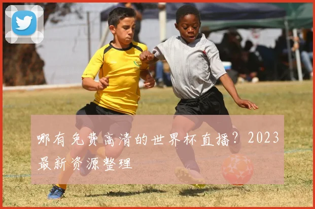 哪有免费高清的世界杯直播？2023最新资源整理