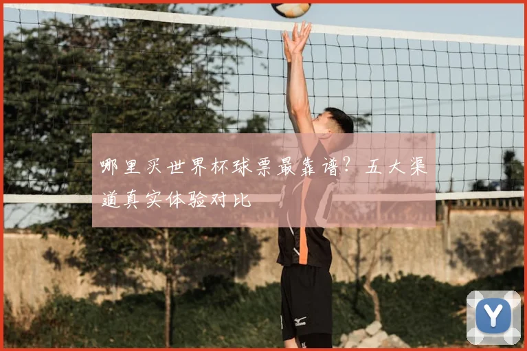 哪里买世界杯球票最靠谱？五大渠道真实体验对比