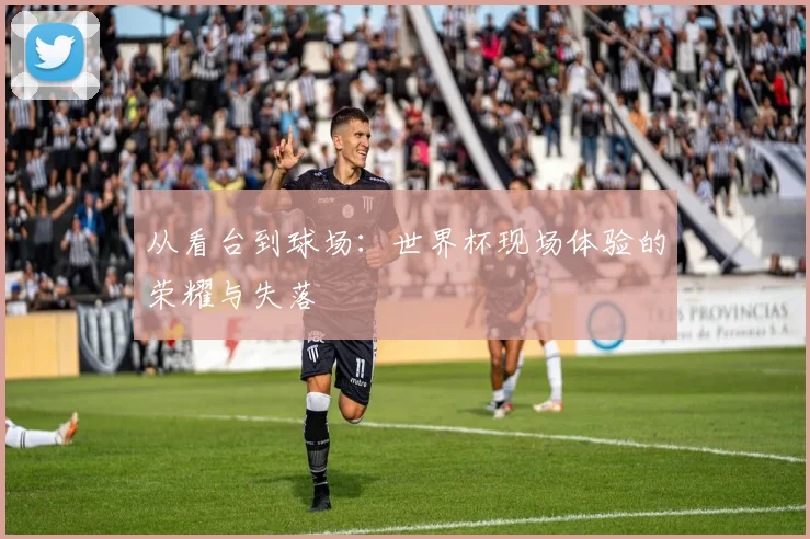 从看台到球场：世界杯现场体验的荣耀与失落