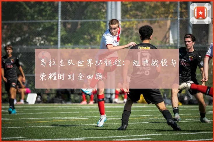 乌拉圭队世界杯征程：经典战役与荣耀时刻全回顾